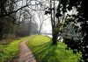 Clare Castle Country Park - local news coverage