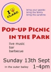 Pop up picnic in Clare Sunday 13th September