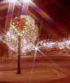 Santa & Mayor to lead Clares Xmas Celebrations