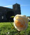 Clare needs help to bloom in 2003
