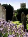 Clare is judged for Britain in Bloom
