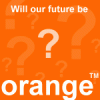 Public Meeting will be held over Orange Mast