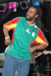 Global tunes ring out from historic park