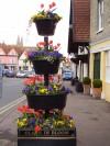 Anglia in Bloom Silver Medal Winner!