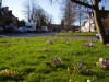Spring has arrived in Clare