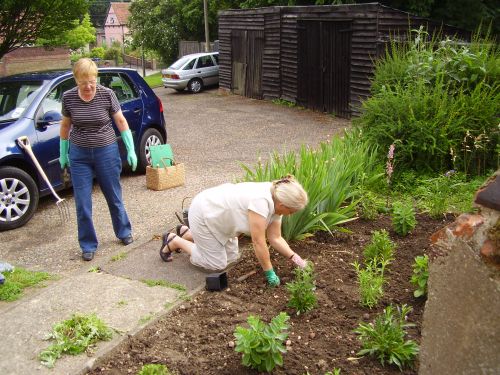 Clare in Bloom 2007