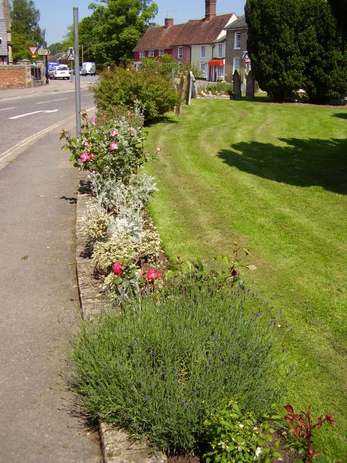 Clare in Bloom 2007