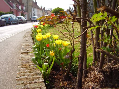Clare in Bloom 2007