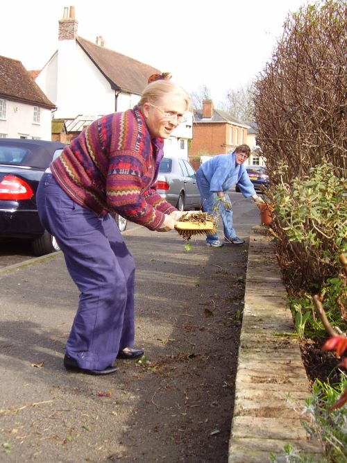 Clare in Bloom 2007