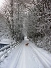 Winter in Clare - 2010