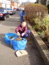 Clare in Bloom 2007