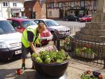 Clare in Bloom 2007