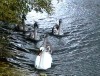 Clare Castle & Country Park